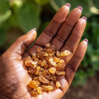 Myrrh: The Forgotten Resin with Healing Powers You Can't Afford to ...