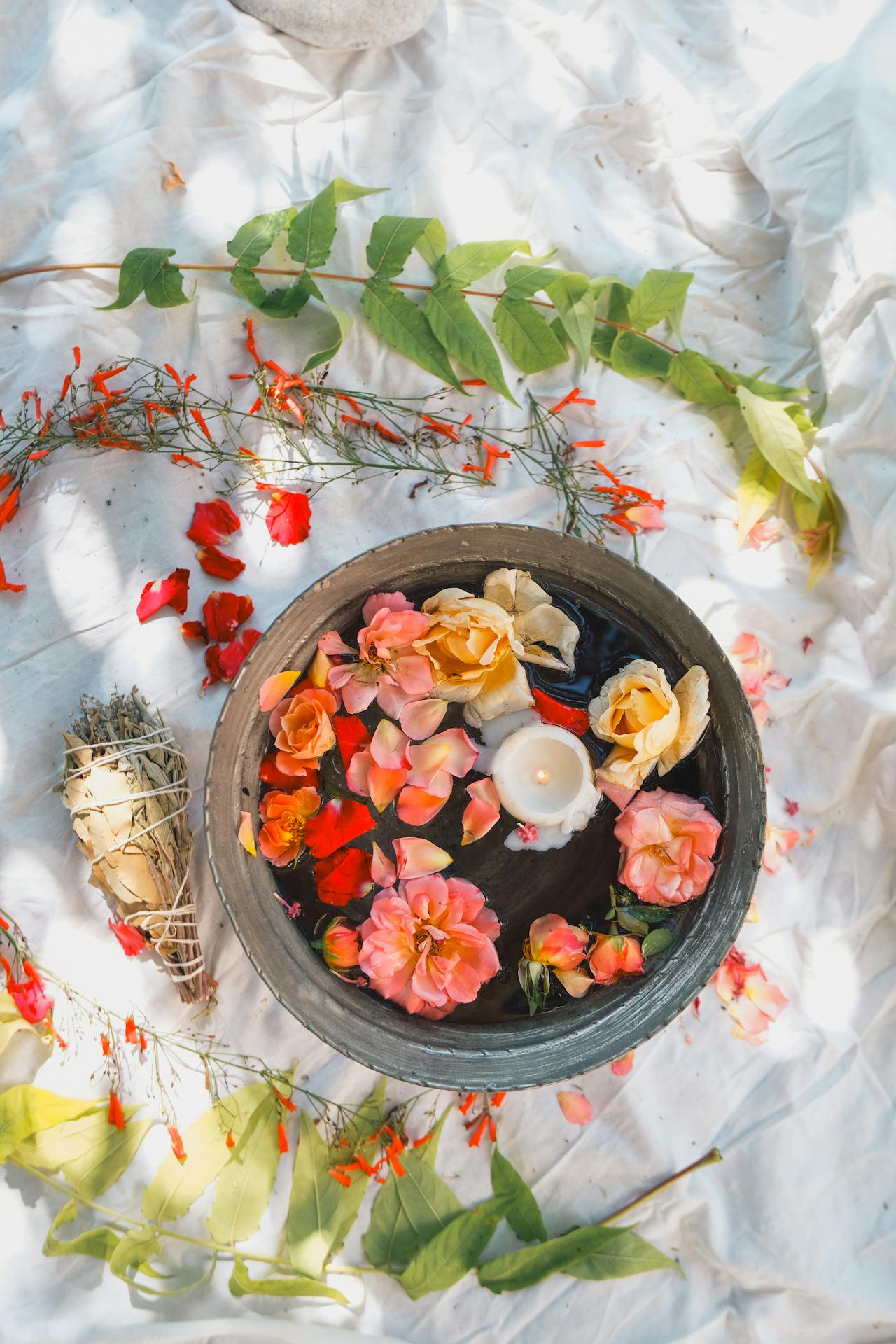 Seasonal Wellness: Adapting Your Routine for Each Season – Heritage ...