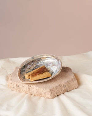  Palo Santo Sticks in Polished White Midae Abalone Shell