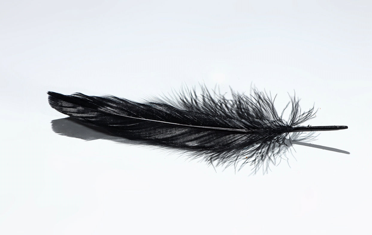 Sacred Goose Feather for Smoke Wafting: Symbolizing Protection and Good Luck. Feather Size: 4-6 inches.