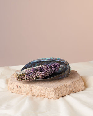 Transform Your Space with Lavender and White Sage in our Polished Paua Shell - Embrace the Power of Elemental Cleansing.