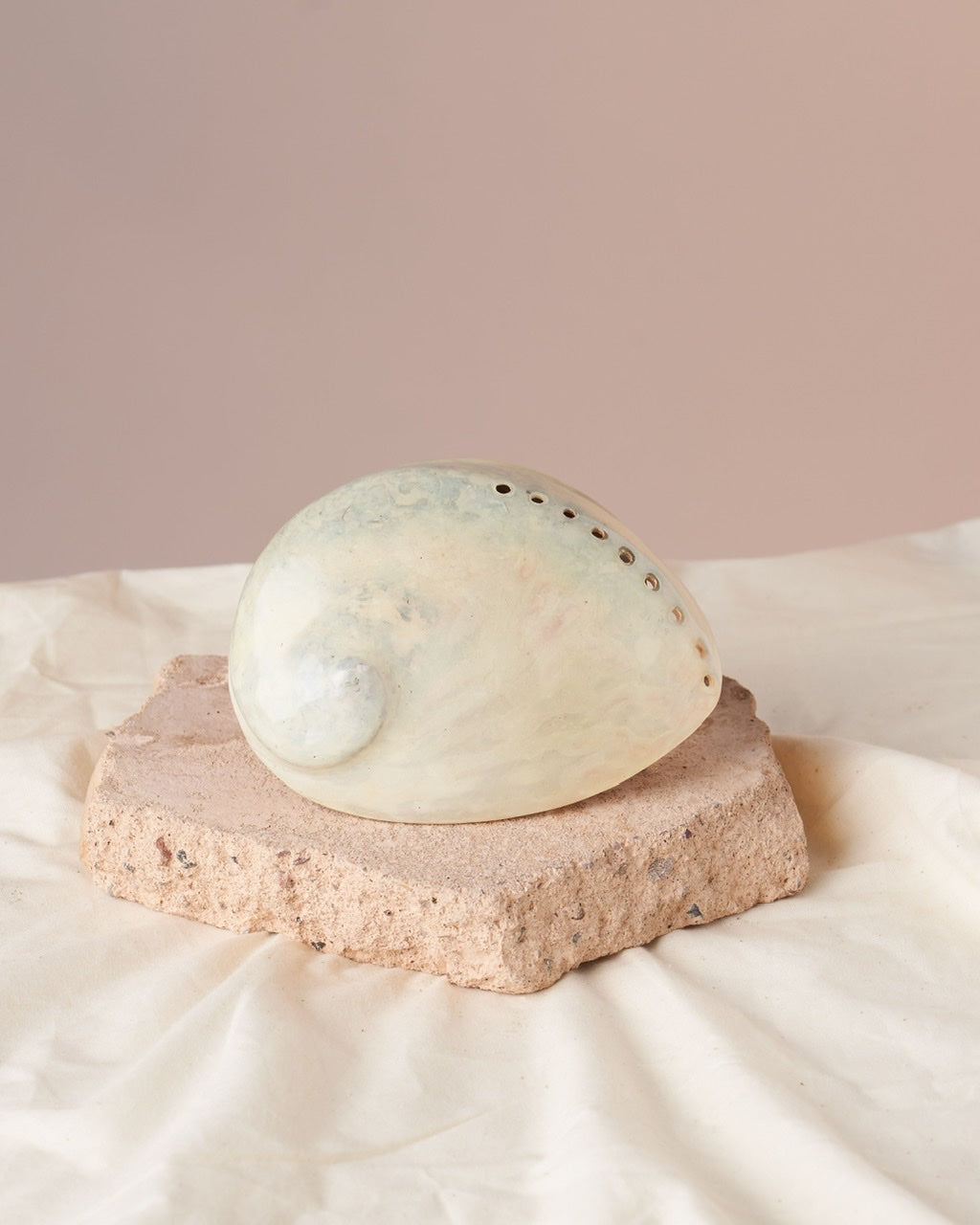 Enhance Your Sacred Space: Polished White Midae Abalone Shell for Energy Cleansing