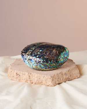 Enhance Your Smoke Cleansing Ritual with our Polished Paua Shell - Embrace the Flow of Divine Feminine Energy in Your Space.