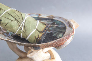 Elevate your mindfulness with an iridescent abalone shell and wooden stand. Ideal for guided meditation and metaphysical rituals. Represents the harmonious blend of water, fire, earth, and air elements.