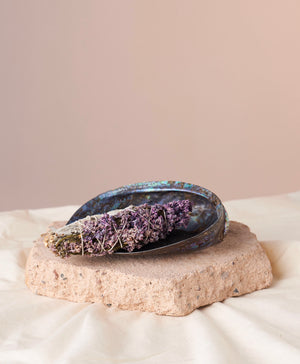 Lilac Blossom White Sage Smudge Stick - Abalone Shell -Positive Energy, Mindfulness, and Fresh Starts: Elevate your space with this 4-5 inch white sage smudge stick adorned with natural lilac blossoms. Ideal for drawing positive energy, enhancing mindfulness, and welcoming beautiful new beginnings.