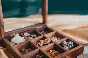 Sacred Smoke Botanical Incense Kit - Discover Tranquility and Balance with Rare Herbs and Resins from Around the World